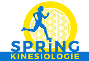 spring-kinesiologie